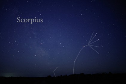 Scorpius_rising