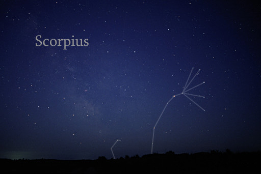 Scorpius_rising